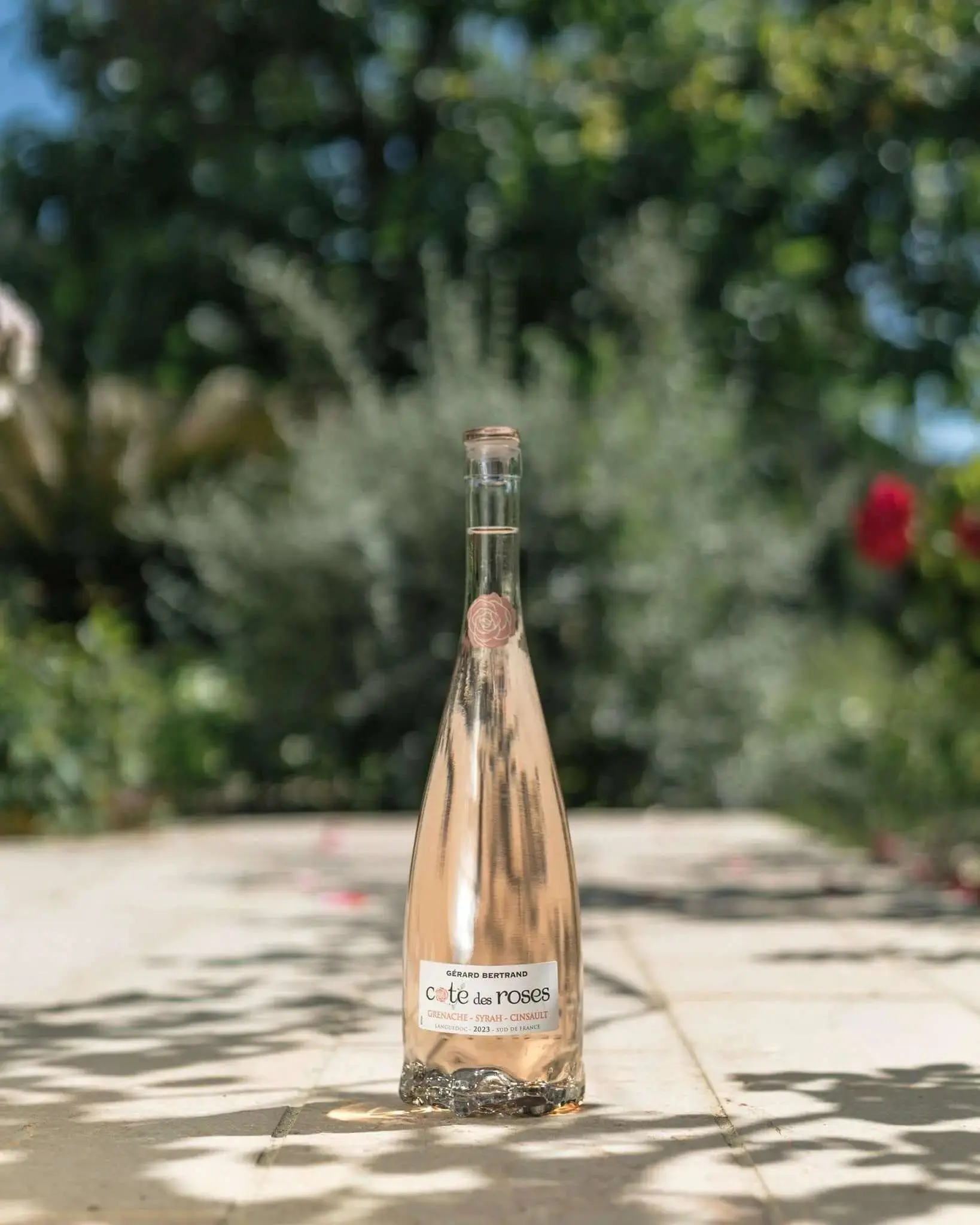 Cote des Roses rosé Magnum (1,5L) - Image 4