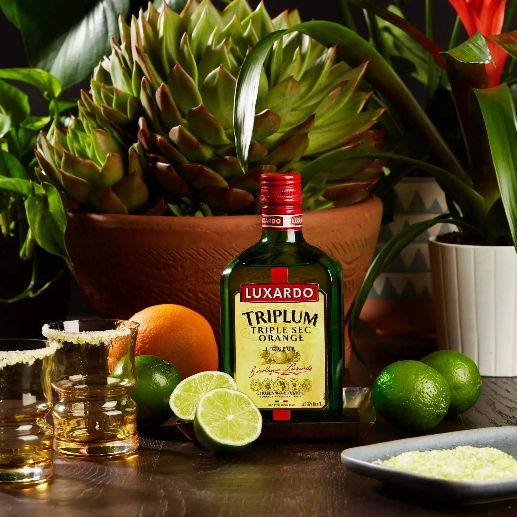 The Fiero Spicy Margarita - Image 4